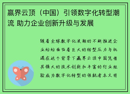 赢界云顶（中国）引领数字化转型潮流 助力企业创新升级与发展