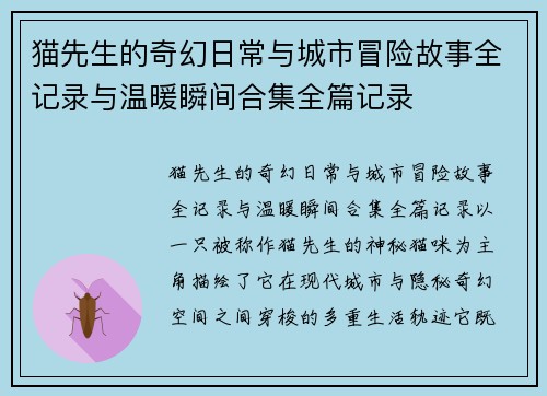 猫先生的奇幻日常与城市冒险故事全记录与温暖瞬间合集全篇记录